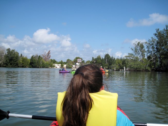 Floating around manatee cove